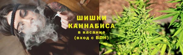 метадон Инта