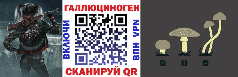 Псилоцибиновые грибы Magic Shrooms  МЕГА ONION  Ейск 